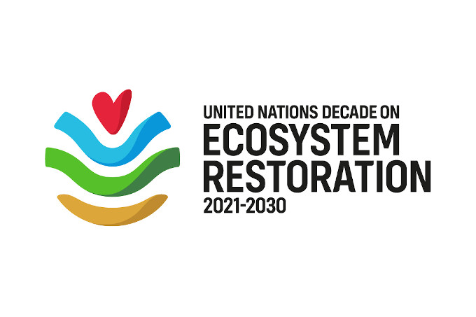 Logo: UN-Dekade zur Wiederherstellung von Ökosystemen 2021 bis 2030