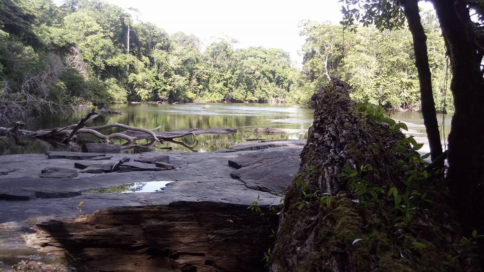 Fluss im Nationalpark Tumucumaque in Brasilien