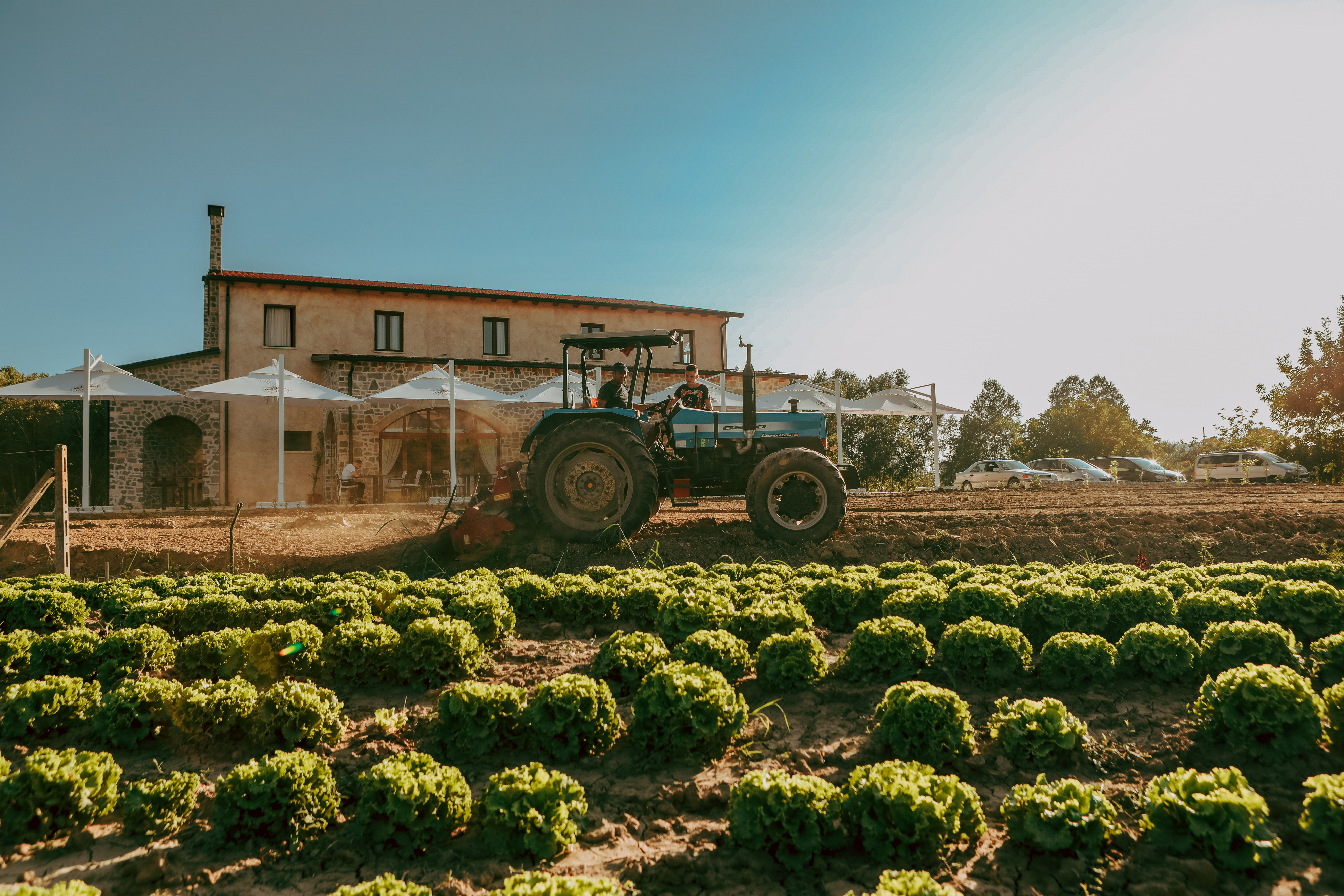 Agrotourism "Gjepali" in Shijak, Durres, Albania