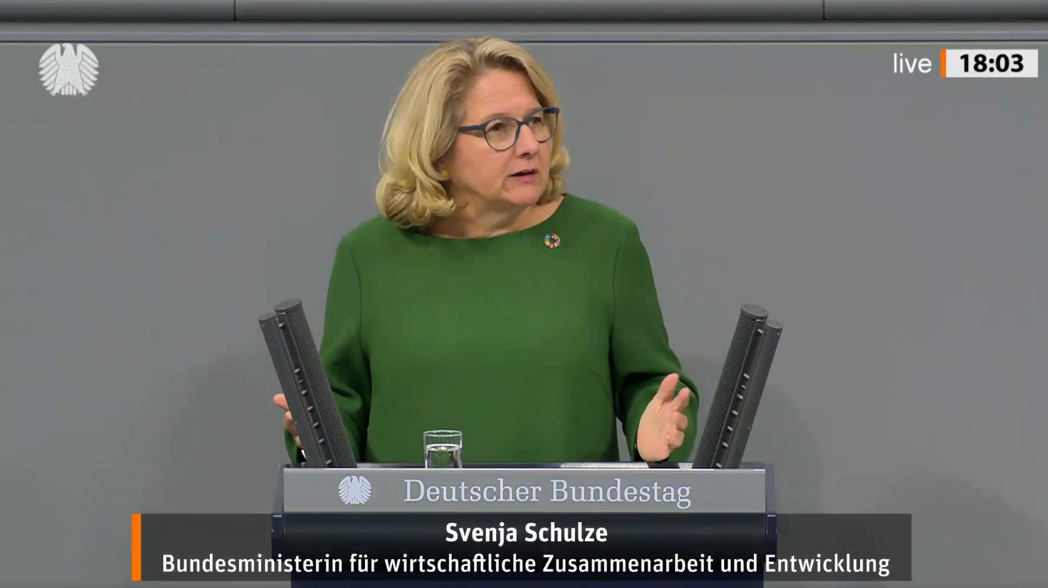 Standbild aus dem Video der Bundestagsrede von Bundesministerin Svenja Schulze am 16. Oktober 2024 in Berlin