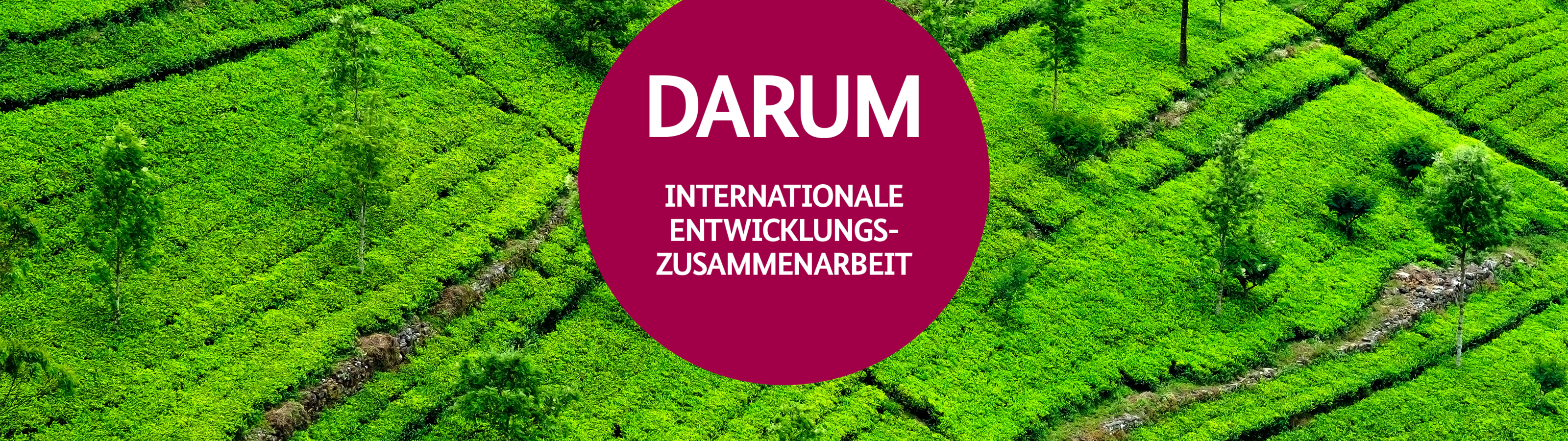 Darum internationale Entwicklungszusammenarbeit