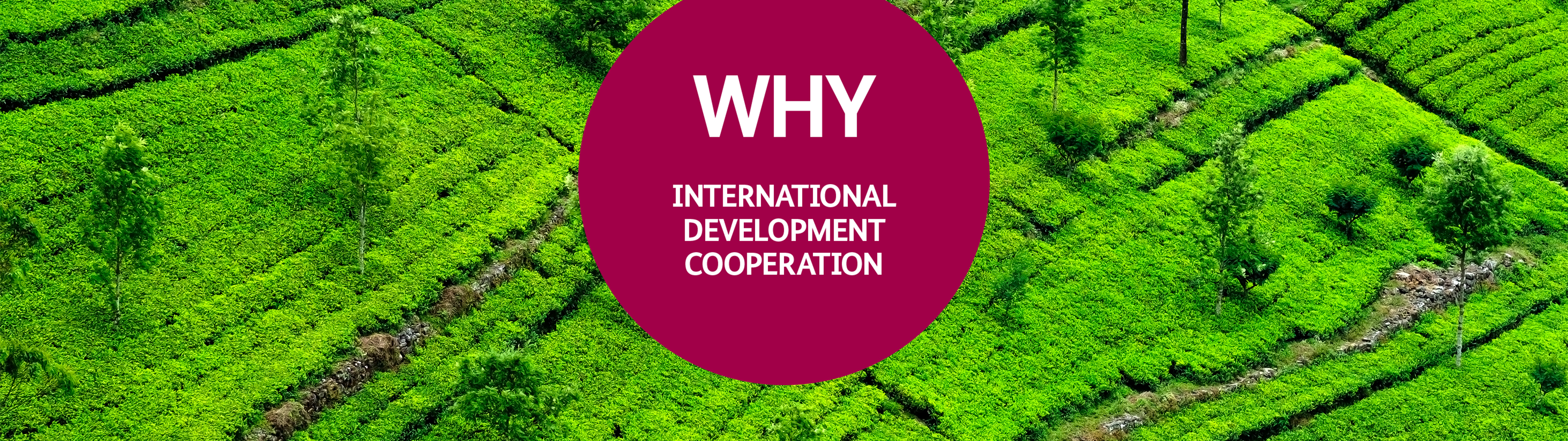 Why international development cooperation