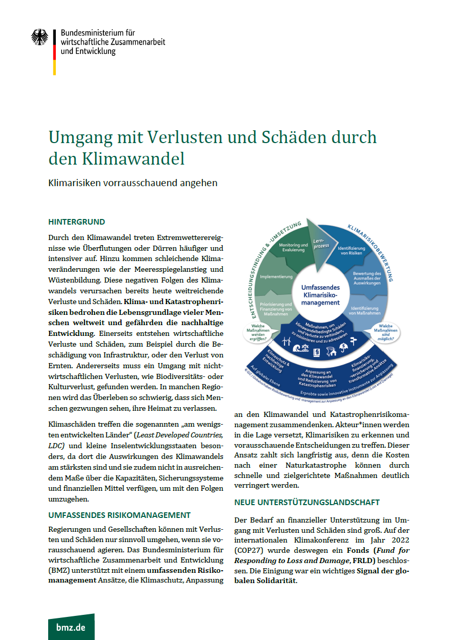 Titelblatt: Umgang mit Verlusten und Schäden durch den Klimawandel