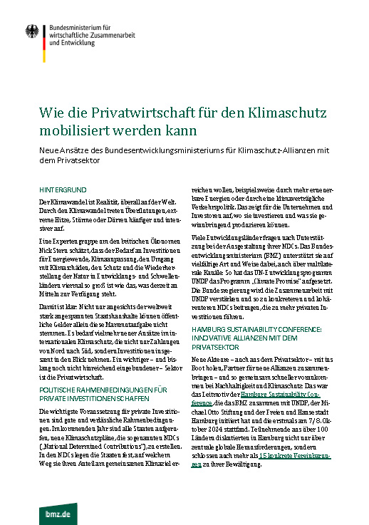 Cover: Wie die Privatwirtschaft für den Klimaschutz mobilisiert werden kann