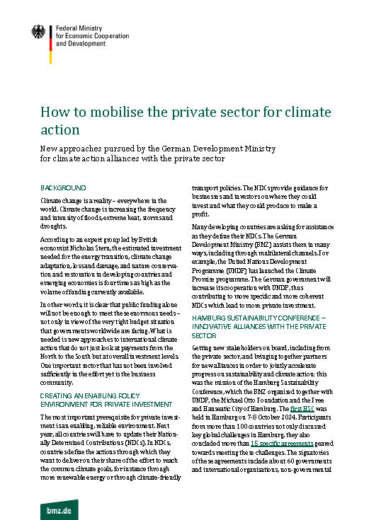 Cover: How to mobilise the private sector for climate action