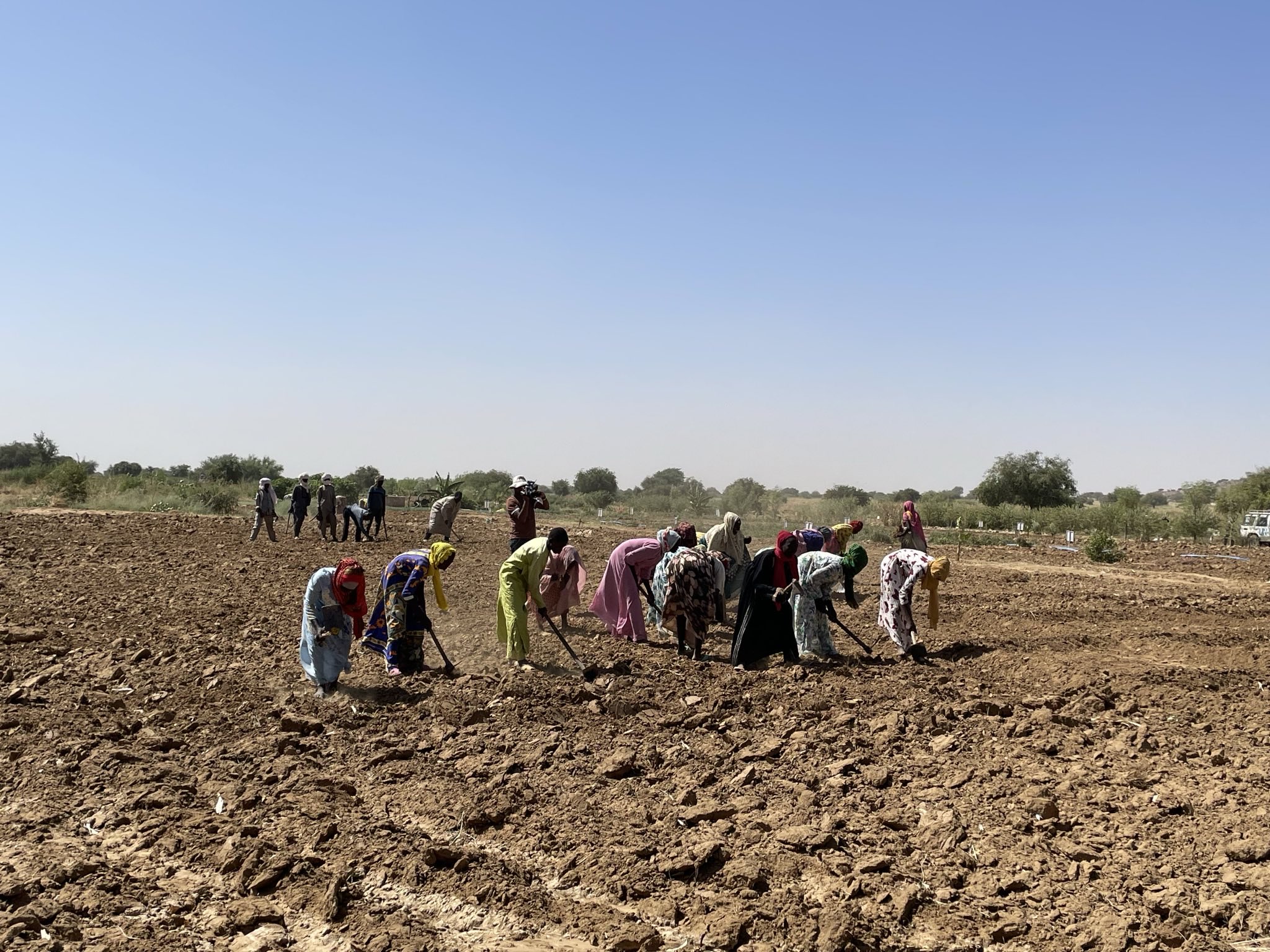 Frauen bei der Feldarbeit während des Besuchs von Ministerin Schulze im Tandou-Tal. Dort hat das Welternährungsprogramm mit BMZ-Unterstützung im Jahr 2020 ein Projekt initiiert, das 850 Hektar degradiertes Land wieder für Ackerbau und Viehzucht nutzbar macht. 