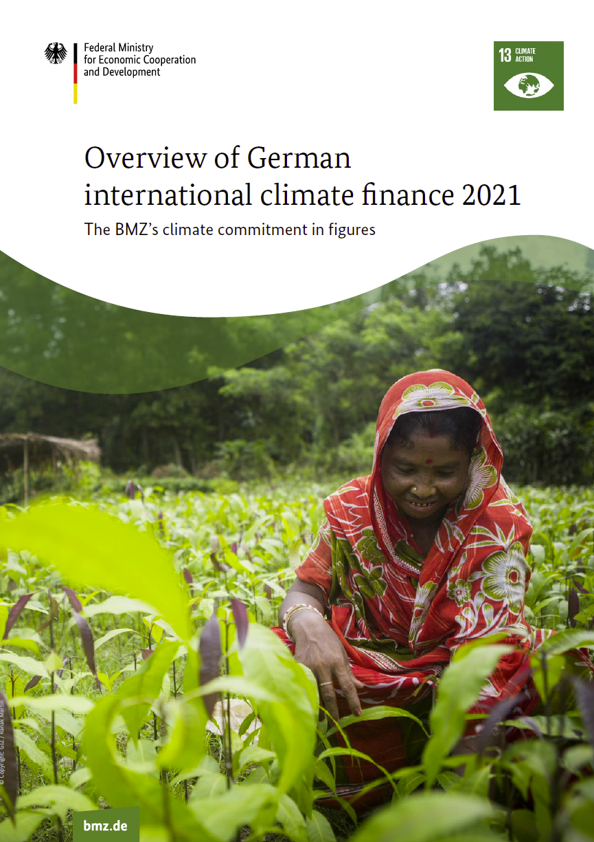 Cover: Overview of German international climate finance 2021