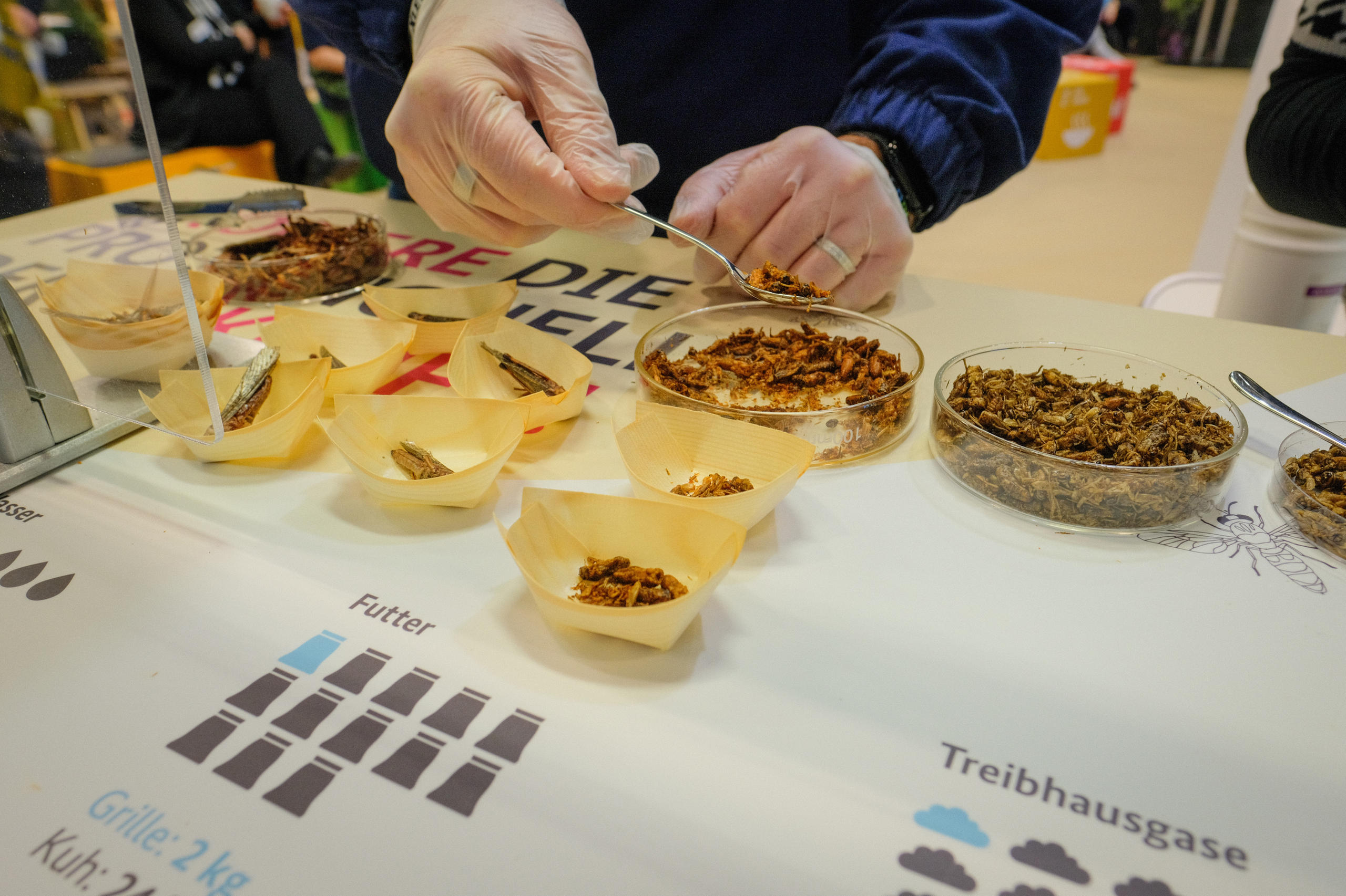 Die Besucherinnen und Besucher haben am Stand des BMZ die Gelegenheit, Insekten zu probieren. Proteinreiche Insekten wie Grillen oder Heuschrecken können eine gesunde und klimafreundliche Ernährung ermöglichen – und lecker sein.